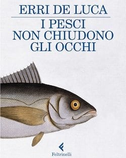I pesci non chiudono gli occhi